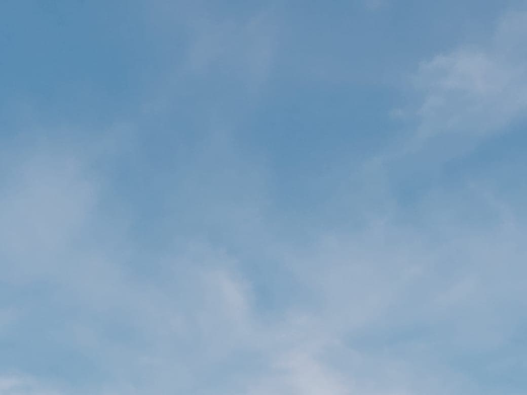 Palabras de Daniel 8 de Marzo 2022