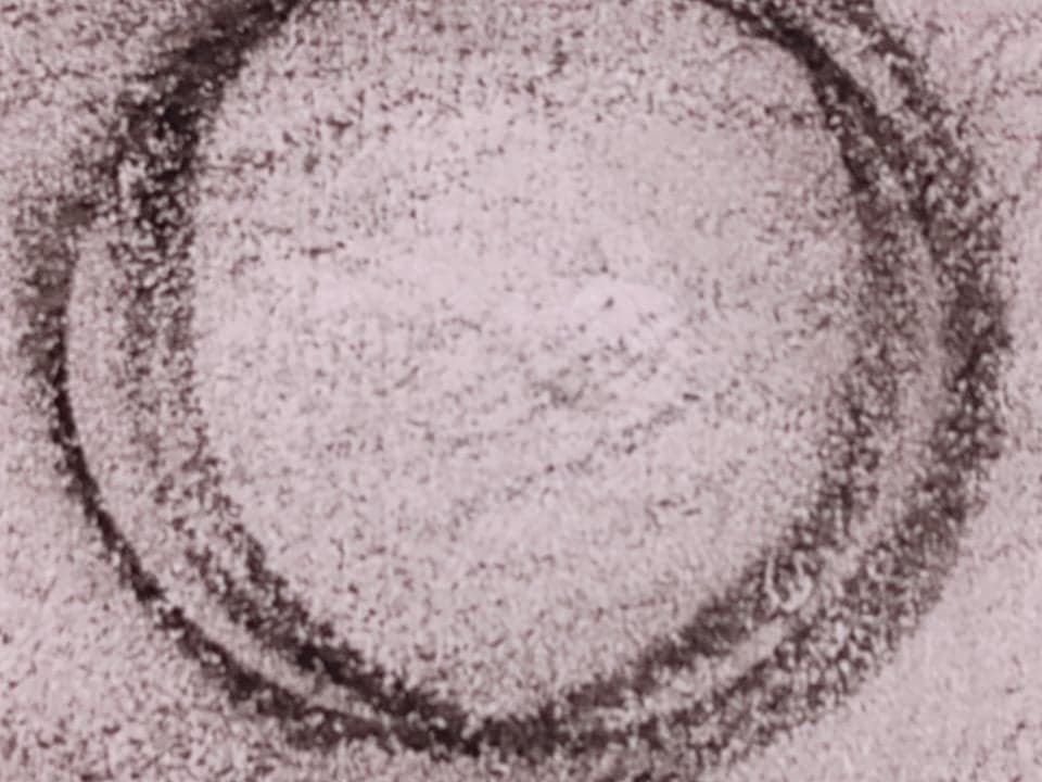 Curso Intensivo de Ciencia Britannica 1