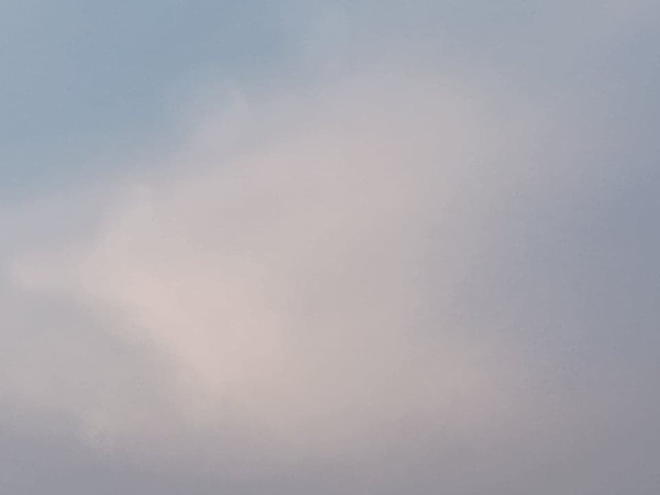 Palabras de Daniel 1 de Enero 2022