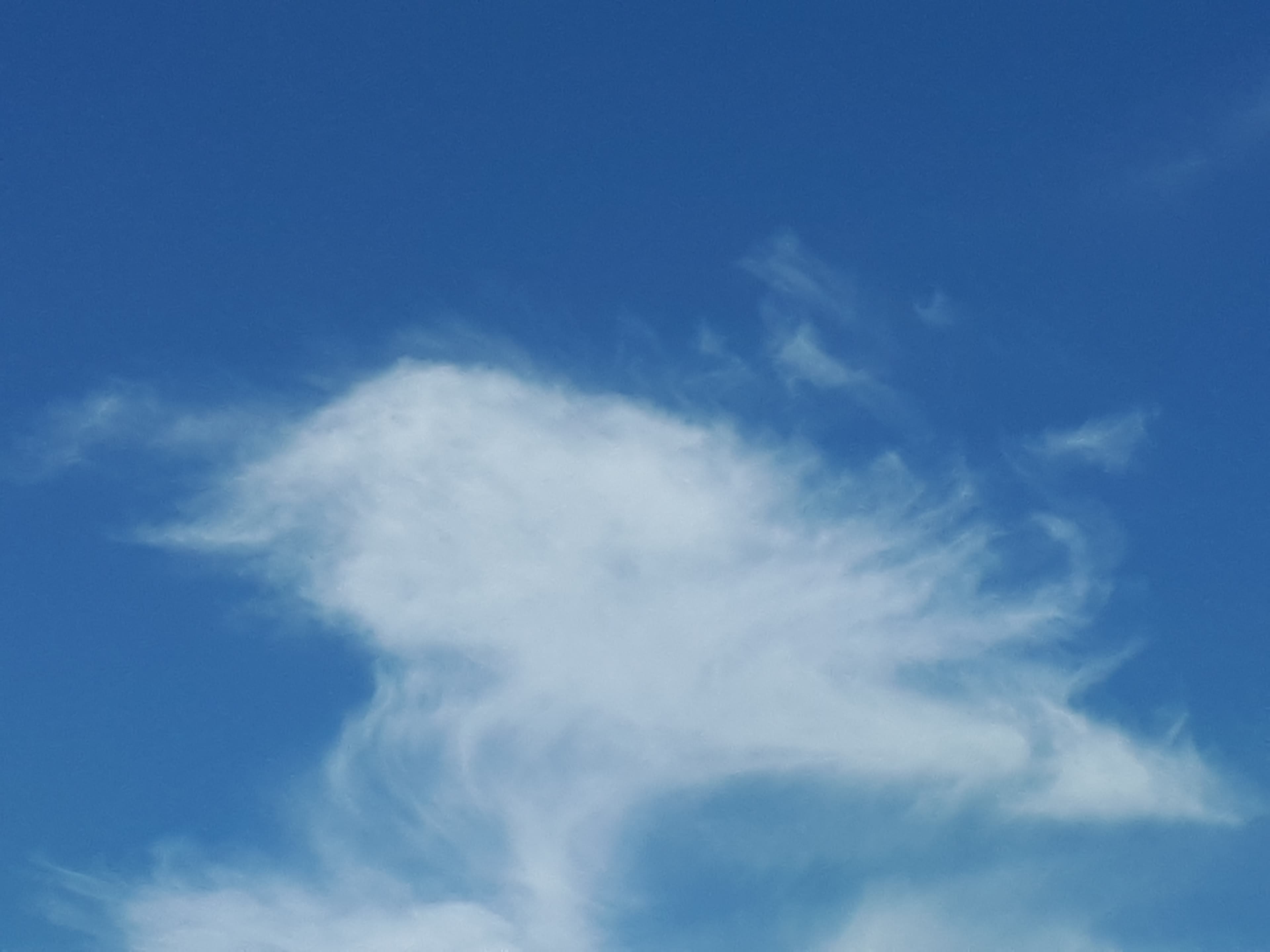 Curso Número 16 - 8 de Octubre 2022